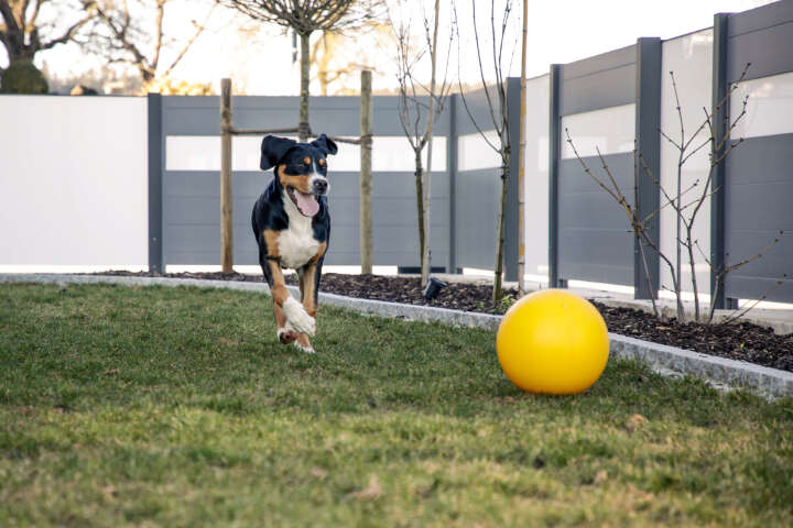 KERBL Hundespielball